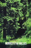 Murree and The Gullies