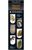 Mini Marks Magnetic Bookmarks (Natural History )