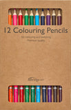 12 Pack Coloured Pencil Set