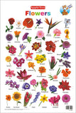 Flowers Chart - (PB)