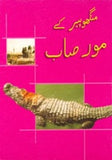 Mangho Peer Kay Moor Saab - (PB) Urdu