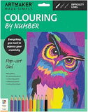 hinkler Pop-Art Owl Colouring by Number Kit