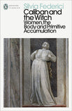 Caliban and the Witch: Women, the Body and Primitive Accumulation