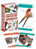 Our World in Pictures Dinosaurs and Other Prehistoric Creatures Flash Cards