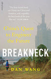 Breakneck - China's Quest to Engineer the Future