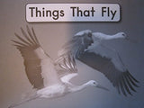 Things That Fly