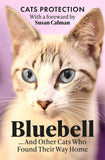 Bluebell ... And Other Cats Who Found Their Way Home