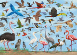 All The Birds 1000 Piece Jigsaw Puzzle