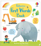 FIRST WORDS BOOK (First Concepts)