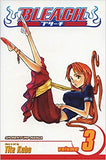 Bleach: Volume 3: Memories in the Rain