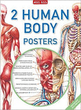 2 Giant Human Body Poster of Anterior and Posterior Anatomy