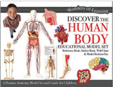 HL - Wonders of Learning Model Set - The Human Body - (BOX)