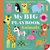 My BIG Playbook