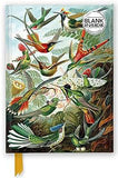 Ernst Haeckel Hummingbirds Foiled Blank Journal Flame Tree Blank Notebooks