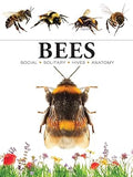 Bees (Mini Animals)