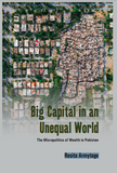 Big Capital in an Unequal World: The Micropolitics of Wealth in Pakistan