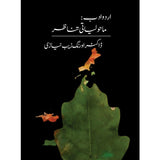 Urdu Adab: Mahauliyati Tanazur