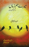 Mere Hum Zamaan