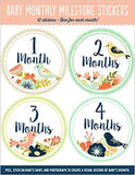 Baby Monthly Milestone Stickers - Paperback