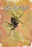 Jhoola Joolti Makri - (PB)