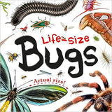Life-size: Bugs: Life-size Boards - Board book