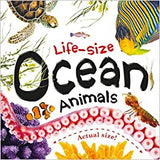 Life-size: Ocean Animals - Board book