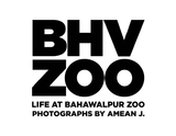 Life at Bahawalpur Zoo