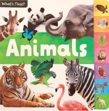 What's That: Animals