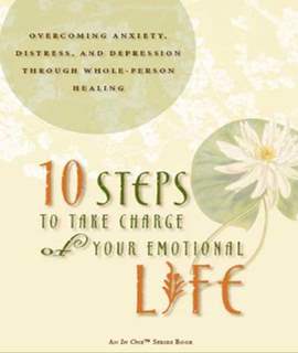 10 Steps to Take Charge of Your Emotional Life (In One)