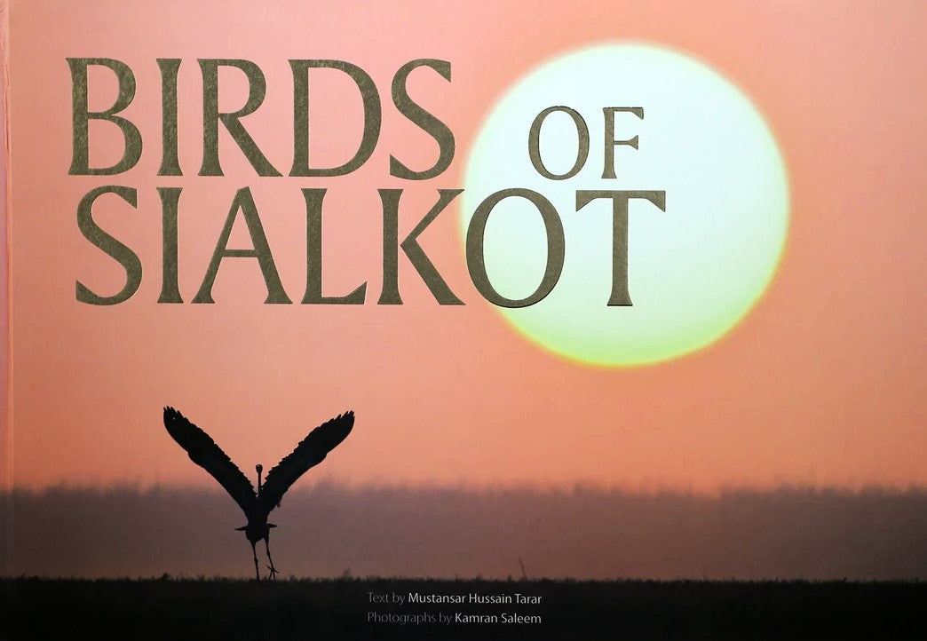 Birds of Sialkot