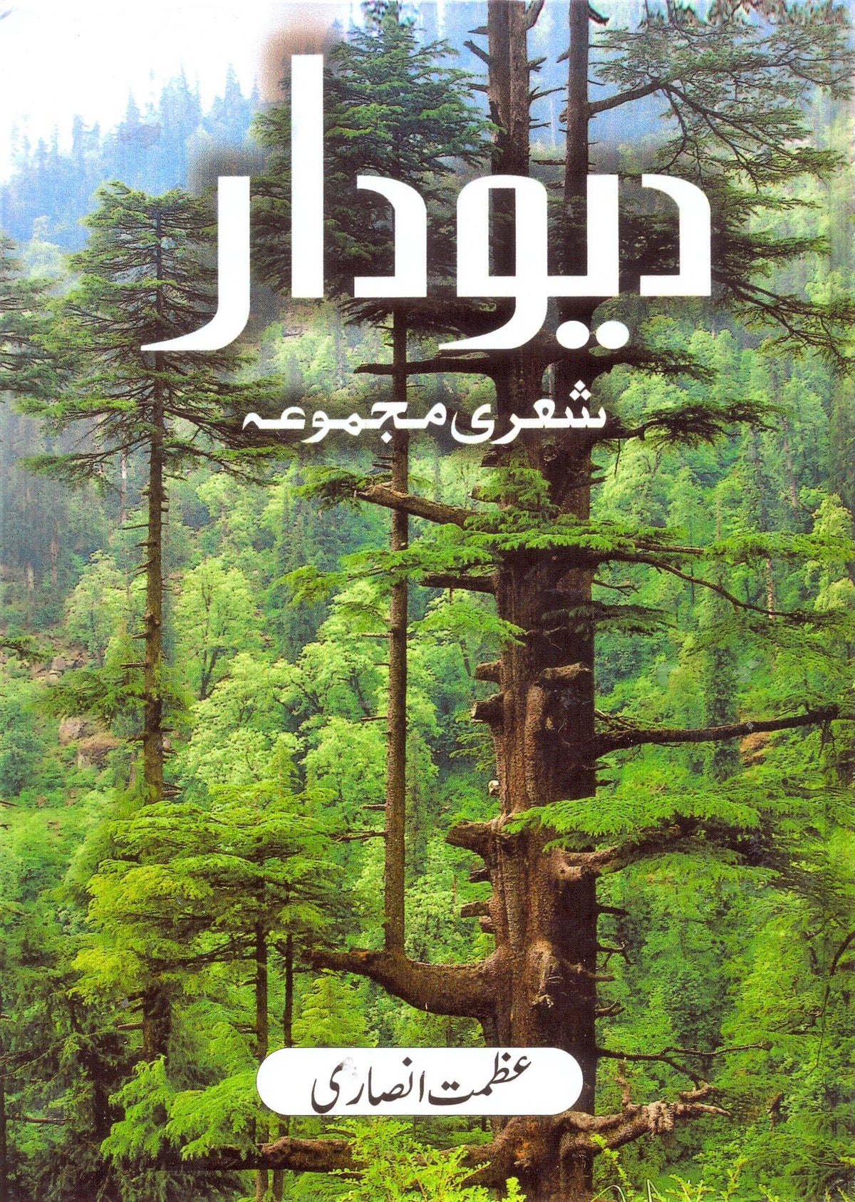 Diyo Dar