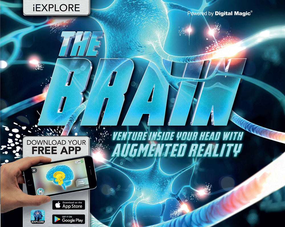 The Brain