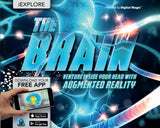The Brain