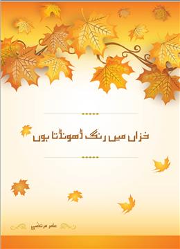 Khizaan Mein Rang Dhoondhta Hun