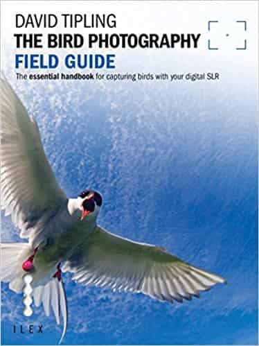 The Bird Photography Field Guide (Photographer's Field Guide)