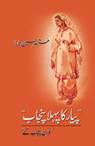 PYAR KA PEHLA PUNJAB