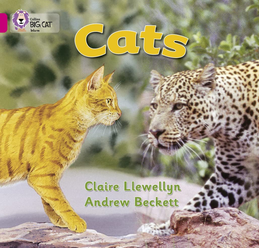 Collins Big Cat -- Cats