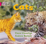 Collins Big Cat -- Cats
