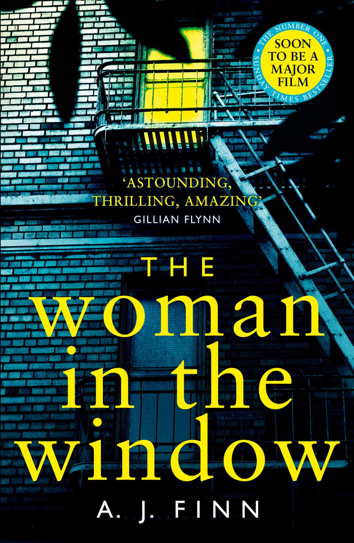 The Woman In The Window
