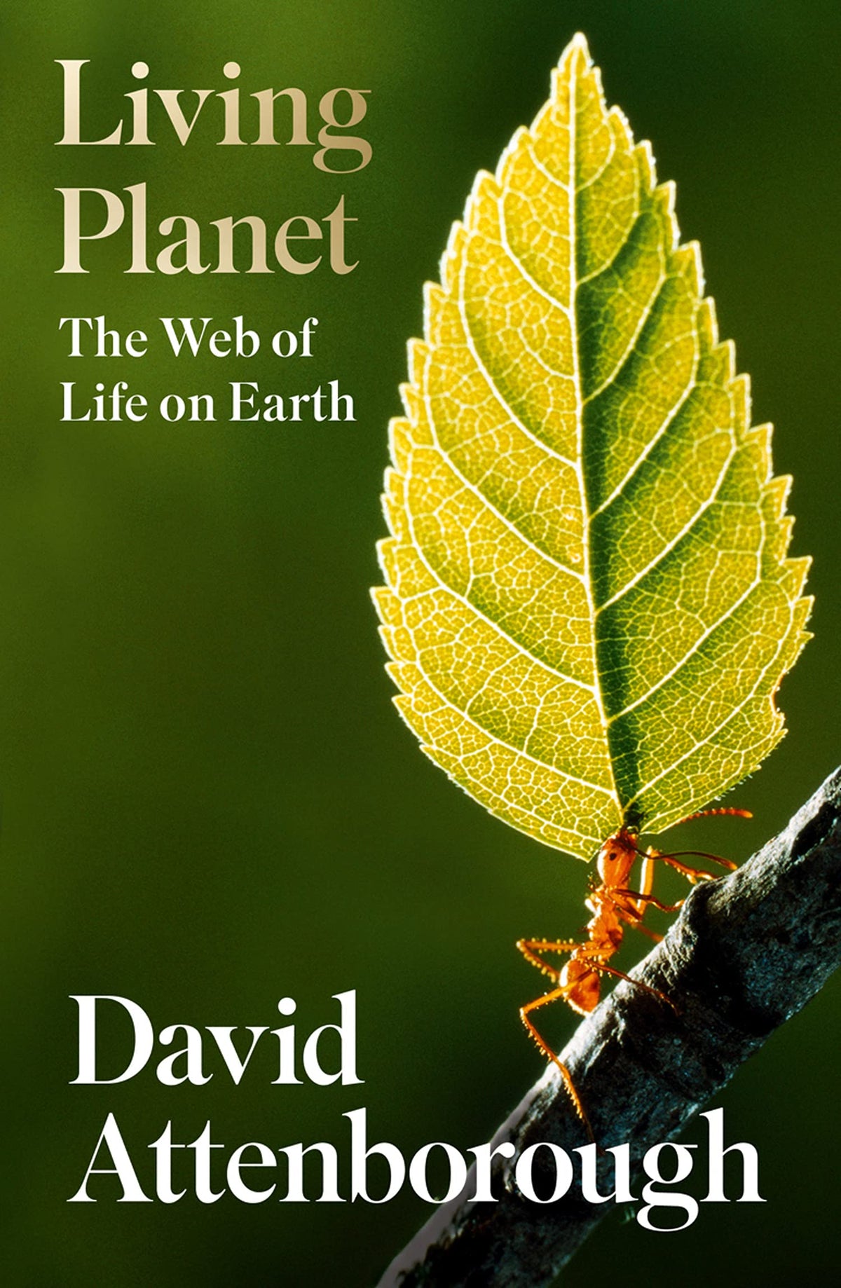 The Living Planet - A Portrait of the Earth