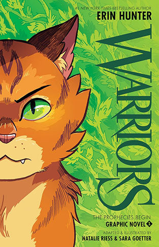 Warriors Graphic Nove