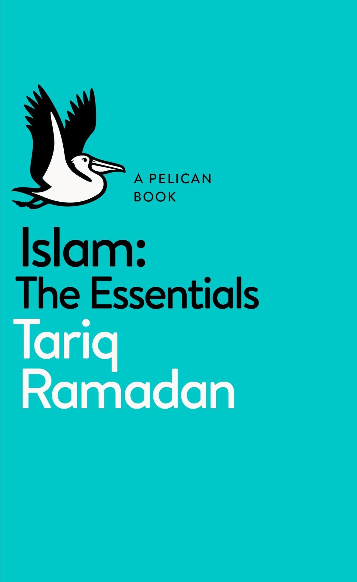 Islam: The Essentials (Pelican Books)