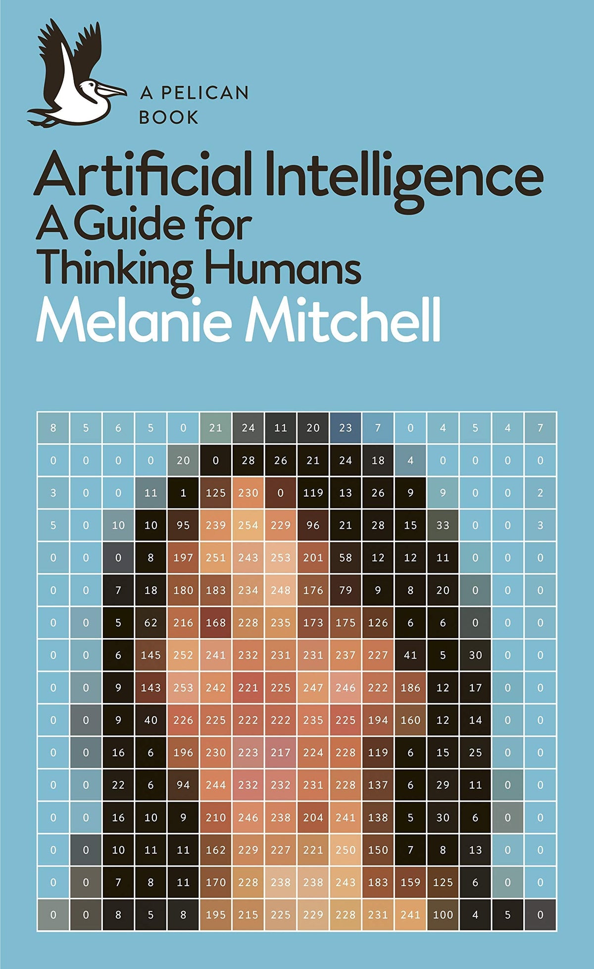 Artificial Intelligence - A Guide for Thinking Humans