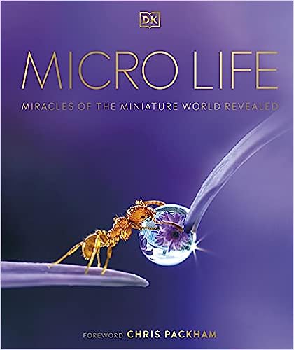 Micro Life - Miracles of the Miniature World Revealed