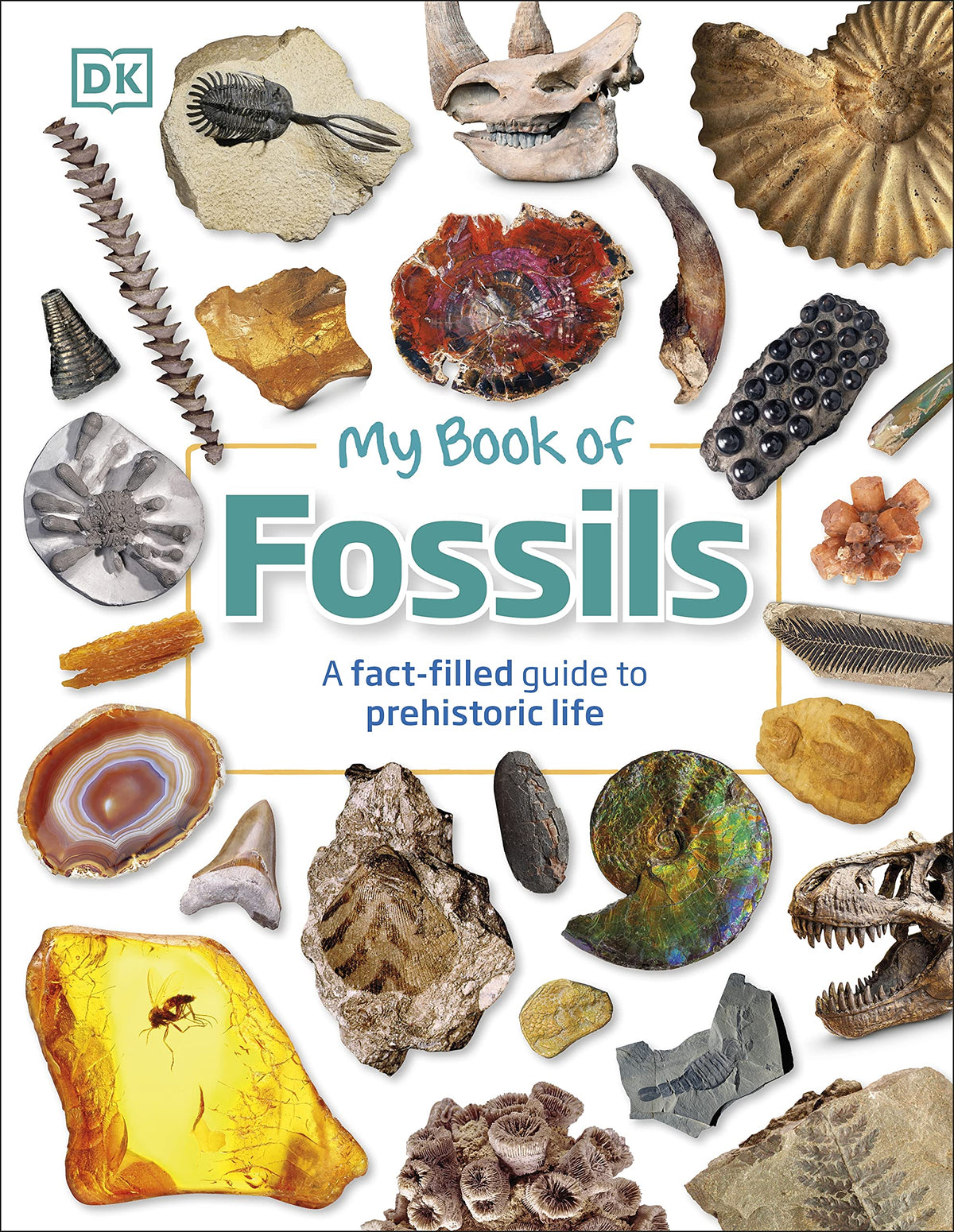 My Book of Fossils - Prehistoric Treasures to Intrigue, Inspire, and Thrill!