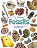 My Book of Fossils - Prehistoric Treasures to Intrigue, Inspire, and Thrill!