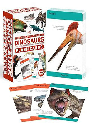 Our World in Pictures Dinosaurs and Other Prehistoric Creatures Flash Cards
