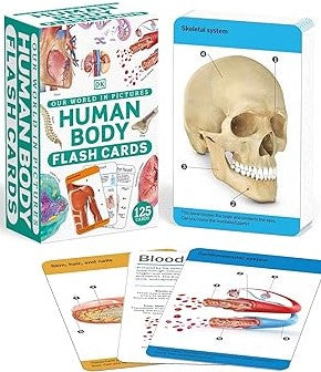 Our World in Pictures Human Body Flash Cards