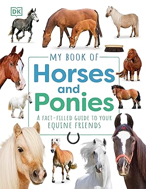 My Book of Horses and Ponies