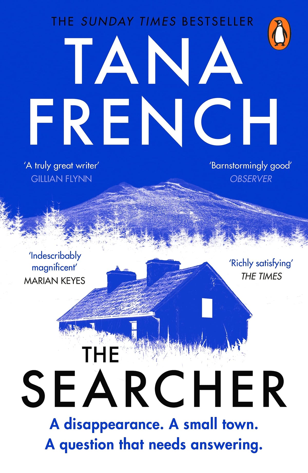 The Searcher - The Mesmerising New Mystery from the Sunday Times Bestselling Author